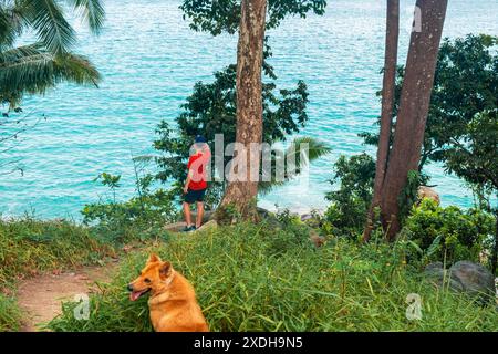 Mann in rotem Hemd mit Hund auf der Insel Phuket, Thailand, mit Blick auf das Meer von einem üppigen, grünen Hügel, umgeben von tropischen Bäumen, Palmen und Pflanzen Stockfoto