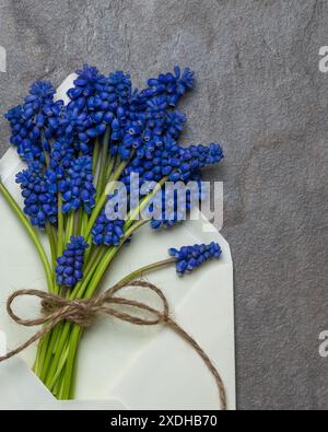 Blumenstrauß blauer Geocinthen in einem weißen Umschlag. Karte. Herzlichen Glückwunsch zum Urlaub. Wunderschönes Stillleben. Valentinstag. Zeichen der Aufmerksamkeit. Leben Stockfoto