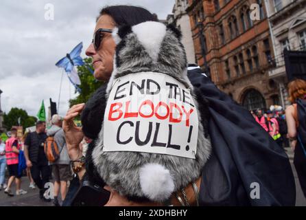 London, Großbritannien. Juni 2024. Ein Demonstrant fordert ein Ende der Dachsschlachtung während des Restore Nature Now marsches. Zehntausende von Menschen und zahlreiche Natur- und Wildtiergruppen marschierten im Zentrum Londons und forderten die Regierung auf, mehr für die Wiederherstellung und den Schutz der Natur zu tun. Quelle: Vuk Valcic/Alamy Live News Stockfoto