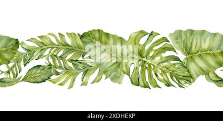 Aquarellgrün hinterlässt endlose nahtlose Ränder. Bananen- und Monsterienmuster isoliert auf weißem Hintergrund. Für exotische tropische Kosmetik Stockfoto