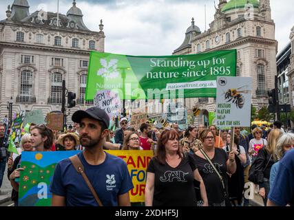 London/UK - 22. Juni 2024: Aktivisten des National Trust protestieren bei der Restore Nature Now marsch für Umweltschutz. 350 Organisationen wie RSPB, WWF, National Trust, Extinction Rebellion und andere vereinten sich für den marsch. Stockfoto