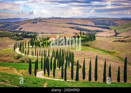 Toskanische Landschaft mit Zypressen-Silhouette und gewundenen Straßen. Foto aufgenommen am 25. Oktober 2023 in Val d’Orcia, nahe Siena, Toskana, Italien. Stockfoto