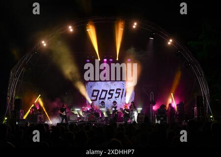 Rom, Italien. Juni 2024. Gossip tritt während der Live Tour 2024 am 22. Juni 2024 im Villa Ada Festival in Rom auf. (Foto: Domenico Cippitelli/NurPhoto) Credit: NurPhoto SRL/Alamy Live News Stockfoto