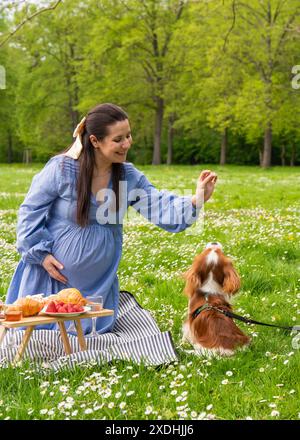 Eine glückliche schwangere Frau freut sich, während sie ihr Baby erwartet. Verbringt Zeit in der Natur. Fröhlich Spaß mit seinem Hund, Cocker Spaniel, Cavalier King Charl Stockfoto