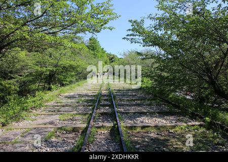 Keage Incline (alte Bahngleise) in Kyoto, Japan Stockfoto