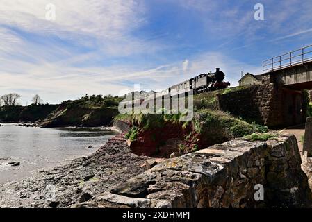 GWR 5205 Klasse 2-8-0 Panzerlokomotive Nr. 5239 Goiliath vorbei an Goodrington Sands auf der Dartmouth Steam Railway in Richtung Paignton. Stockfoto