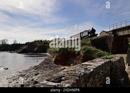 GWR 5205 Klasse 2-8-0 Panzerlokomotive Nr. 5239 Goiliath vorbei an Goodrington Sands auf der Dartmouth Steam Railway in Richtung Paignton. Stockfoto