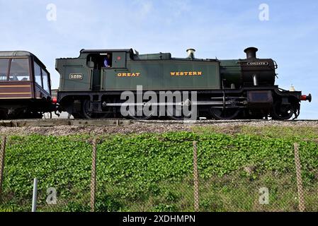 GWR 5205 Klasse 2-8-0 Panzerlokomotive Nr. 5239 Goiliath vorbei an Goodrington Sands auf der Dartmouth Steam Railway in Richtung Paignton. Stockfoto