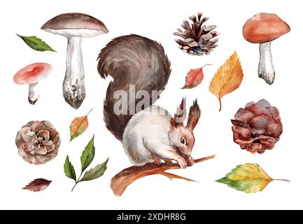 Eine Reihe von Aquarellabbildungen mit Eichhörnchen, Pilzen und Blättern isolierten Bäumen auf weißem Hintergrund. Realistische Handzeichnung zur Dekoration Stockfoto