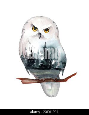Weiße Schneeeule mit nebeliger Waldlandschaft isoliert auf weißem Hintergrund. Aquarellabbildung. Stockfoto