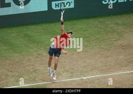 Halle, Deutschland. Juni 2024. Tennis: ATP Tour, Singles, Finale, Sinner (Italien) - Hurkacz (Polen). Jannik Sinner macht einen Servierteller. Quelle: Friso Gentsch/dpa/Alamy Live News Stockfoto