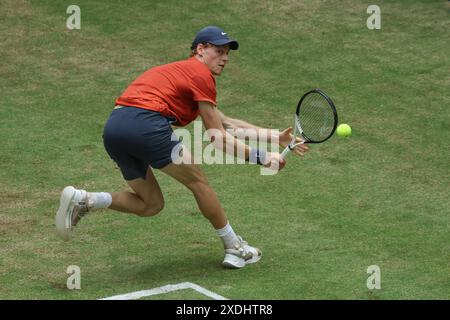 Halle, Deutschland. Juni 2024. Tennis: ATP Tour, Singles, Finale, Sinner (Italien) - Hurkacz (Polen). Jannik Sinner spielt eine Rückhand. Quelle: Friso Gentsch/dpa/Alamy Live News Stockfoto