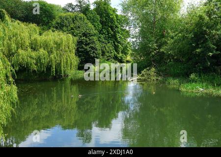 River Cam in der Nähe des Mill House in Grantchester Stockfoto