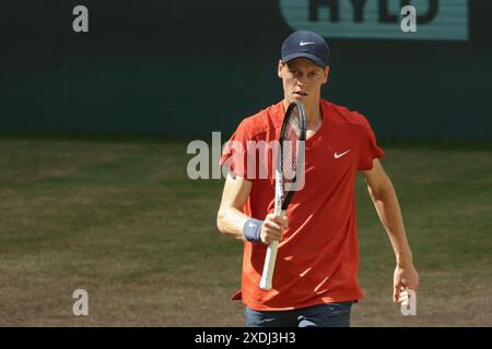 Halle, Deutschland. Juni 2024. Tennis: ATP Tour, Singles, Finale, Sinner (Italien) - Hurkacz (Polen). Jannik Sinner ist auf dem Platz. Quelle: Friso Gentsch/dpa/Alamy Live News Stockfoto