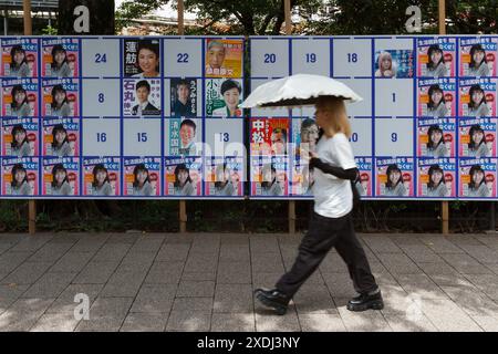 Eine Frau kommt an einem Wahlkandidaten-Vorstand für die Gouverneurswahlen in Tokio 2024 vorbei, auf dem viele Plakate von der Anti-NHK-Partei für einen YouTuber namens Panchan Shibuya entführt wurden. Rekordkandidaten von 56 Kandidaten stehen bei den Wahlen am 7. Juli. Die größte Herausforderung für den Amtsinhaber Yuriko Koike (der eine dritte Amtszeit als Gouverneur der japanischen Hauptstadt gewinnen will), der vom Mitte-Links-Politiker Renho Saito kommt. Stockfoto