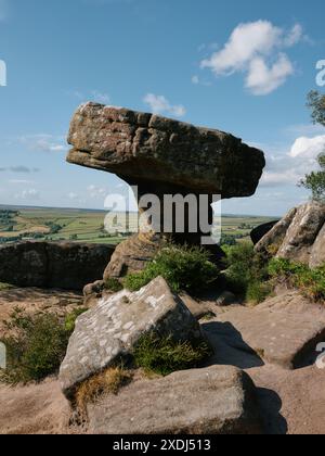 Druids Writing Desk, Brimham Rocks oder Brimham Crags am Brimham Moor in der Nähe von Harrogate Nidderdale, North Yorkshire England Großbritannien - verwitterte Sandsteinfelsen Stockfoto