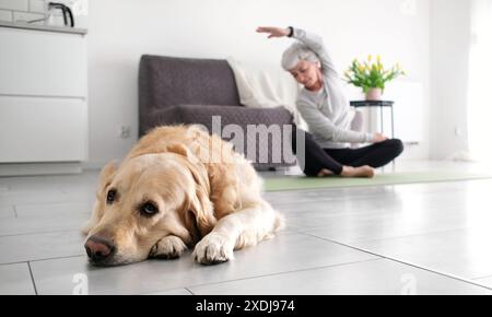 Ältere Frau Macht Yoga Und Dehnt Sich Zu Hause, Während Ihr Golden Retriever Dog Auf Dem Boden Liegt Stockfoto