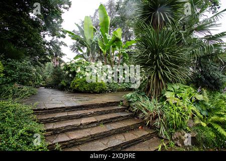 Italien Piemont Turin Valentino Park Regentag Stockfoto