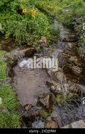 Italien Piemont Turin Valentino Park Regentag Stockfoto