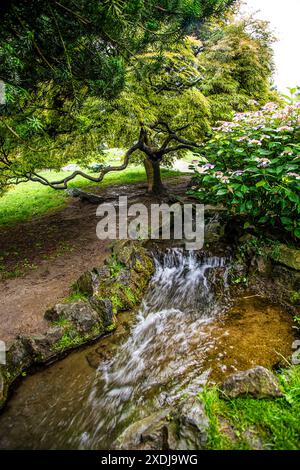 Italien Piemont Turin Valentino Park Regentag Stockfoto