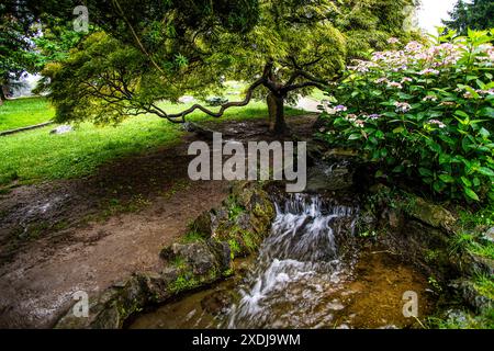 Italien Piemont Turin Valentino Park Regentag Stockfoto