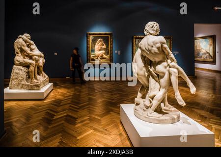 National Museum of Fine Arts (MNBA), Buenos Aires, republica Argentinien Stockfoto