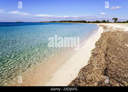 Dünenkomplex, es Caragol Beach. Hohes Umweltschutzgebiet, Santaniy, Mallorca. Balearen. Spanien. Stockfoto