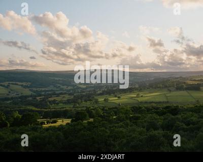 Brimham Moor in der Nähe von Harrogate Nidderdale, North Yorkshire, England, Vereinigtes Königreich - verwitterte Sandsteingoelogie Stockfoto