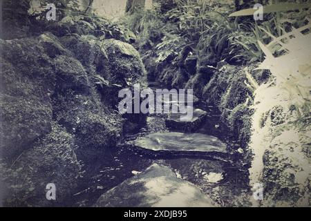 Japanischer Garten altes Foto. Treppensteinpfad über einen Teich. Stockfoto