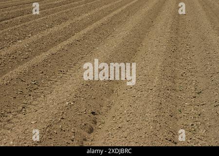 Frisch zubereitete Furchen an einem sonnigen Frühlingstag. Landwirtschaft Landwirtschaft. Stockfoto