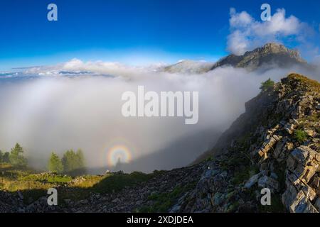 FRANKREICH. HAUTES-ALPES (05) CHORGES, COL DE LA GARDETTE, SPECTER OF BROCKEN Stockfoto