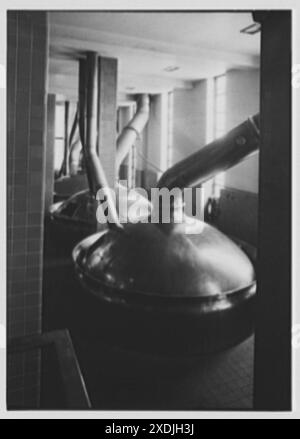 Schaefer Brewing Co., Kent Ave., Brooklyn, New York. Brauhaus I. Sammlung Gottscho-Schleisner Stockfoto