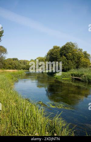 Winchester. England. Der Fluss Itchen bei Martyr würdig. Der Fluss ist einer der weltweit besten Kreideflche für Fliegenfischen. Stockfoto