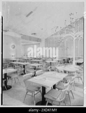 Stouffer's Westgate, Cleveland, Ohio. Blick auf Bäume und Sonne. Gottscho-Schleisner Kollektion Stockfoto