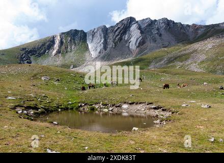 Eine Pferdeherde weidet ruhig auf einer Wiese neben einem kleinen See in den Pyrenäen von Girona. Stockfoto