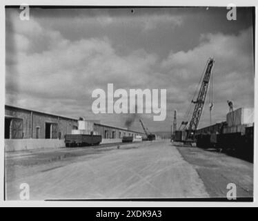 Elmira Holding- und Umlieferungsstelle, Elmira, New York. Verladung im Lager II. Sammlung Gottscho-Schleisner Stockfoto