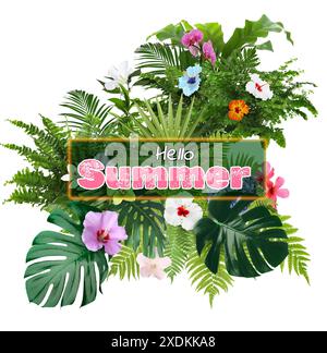 Hallo Sommer Text und Komposition tropischer Pflanzen auf weißem Hintergrund Stockfoto