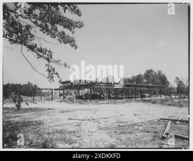 Johnson & Johnson, New Brunswick, New Jersey. Cafeteria-Bau. Gottscho-Schleisner Kollektion Stockfoto