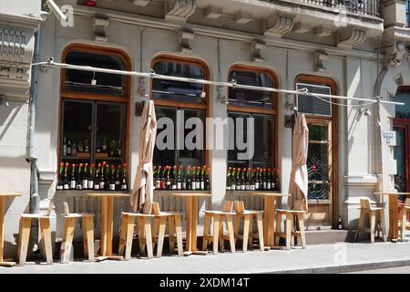 Bukarest, Rumänien - 5. Mai 2024: Gastropub im Freien auf der Ion Brezoianu Straße im Zentrum von Bukarest, mit roten natürlichen Tulpen in leerer Weingasse Stockfoto