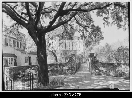 Mrs. Washington A. Roebling, Wohnsitz 64 S. Battery, Charleston, South Carolina. Weiße Azaleen und Bäume. Gottscho-Schleisner Kollektion Stockfoto