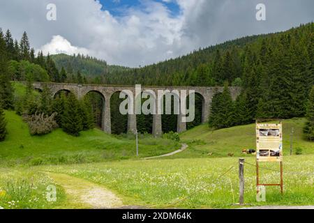 Eisenbahnbrücke Chramossky viadukt bei Telgart, Horehronie, Slowakei Stockfoto