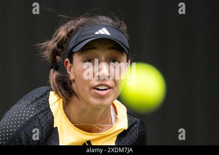 Berlin, Deutschland. Juni 2024. Tennis: WTA Tour, Singles, Frauen, Viertelfinale. Kalinskaya (Russland) - Pegula (USA). Jessica Pegula in Aktion. Quelle: Hannes P. Albert/dpa/Alamy Live News Stockfoto