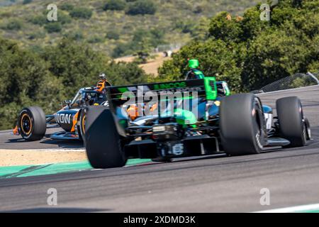 Salinas, CA, USA. Juni 2024. PATO OWARD (5) aus Monterey, Mexiko, übt für den Firestone Grand Prix von Monterey auf dem WeatherTech Raceway Laguna Seca in Salinas, CA. (Foto: © Walter G. Arce Sr./ASP via ZUMA Press Wire) NUR REDAKTIONELLE VERWENDUNG! Nicht für kommerzielle ZWECKE! Stockfoto