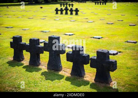 Eine friedliche Szene auf dem deutschen Militärfriedhof in der Normandie, Frankreich, mit Reihen von Steinkreuzen auf üppig grünem Gras. Stockfoto