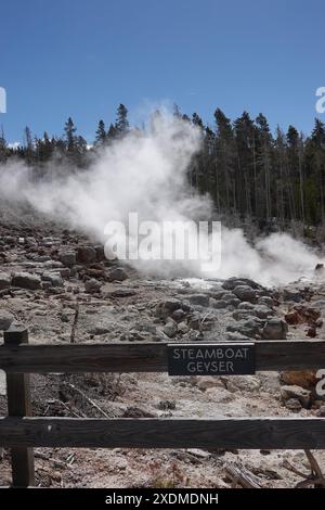 Steamboat Geysir im Norris Geysir Basin, Yellowstone National Park, Wyoming, USA Stockfoto