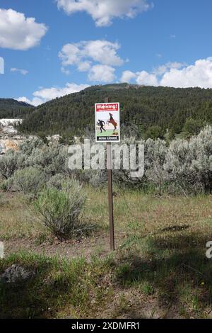 In einem Gebiet, in dem Elche ihre Jungen im Mammoth Hot Springs Yellowstone National Park, Wyoming, USA, aufziehen, dürfen sich keine Wildtiere nähern Stockfoto