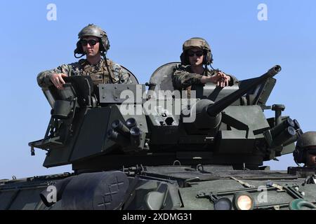 United States Marines auf Light Armored Vehicle (LAV) Stockfoto