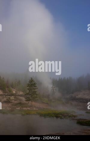 Die Promenade rund um den Mud Volcano in der Yellowstone Caldera des Yellowstone National Park, Wyoming, USA Stockfoto