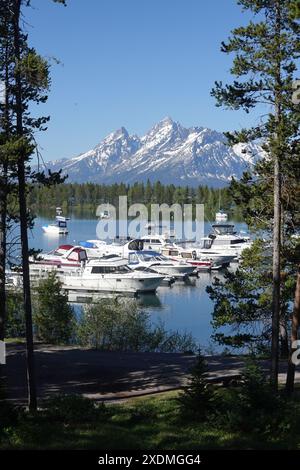 Colter Bay Village Marina Dock am Jackson Lake mit den schneebedeckten Grand Teton Bergen im Hintergrund im Grand Teton National Park, Wyoming Stockfoto