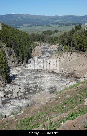 Der Lamar River im Yellowstone NP Stockfoto